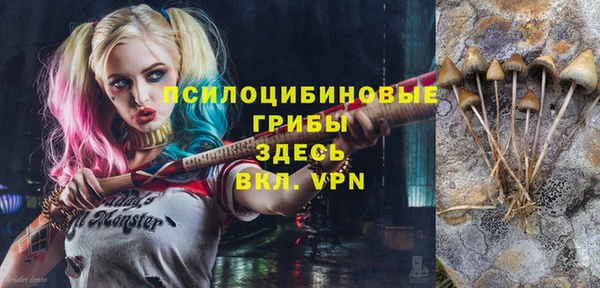 мет Баксан