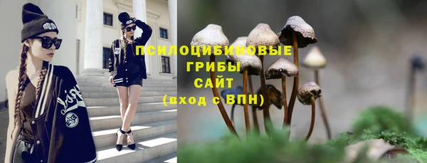 ECSTASY Балахна
