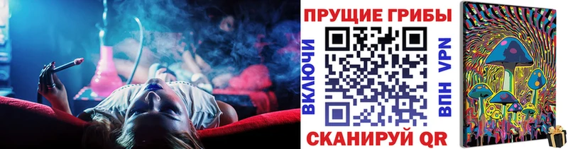 Псилоцибиновые грибы мухоморы  Малая Вишера 