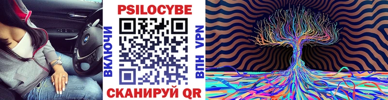Псилоцибиновые грибы мухоморы Малая Вишера